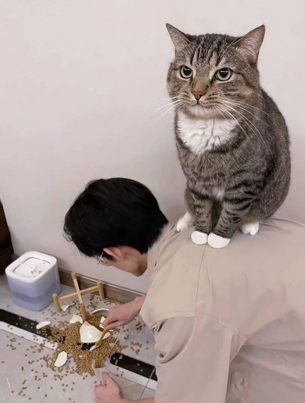 What Is Going On Here? (24 pics)