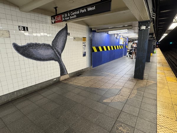 Interesting Finds (24 pics)