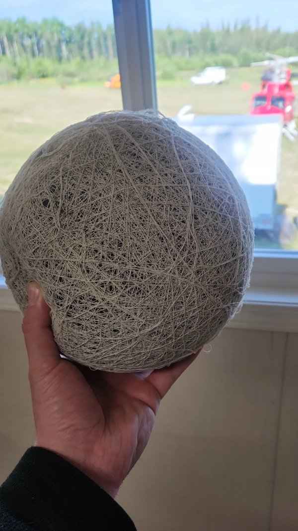 Interesting Finds (24 pics)