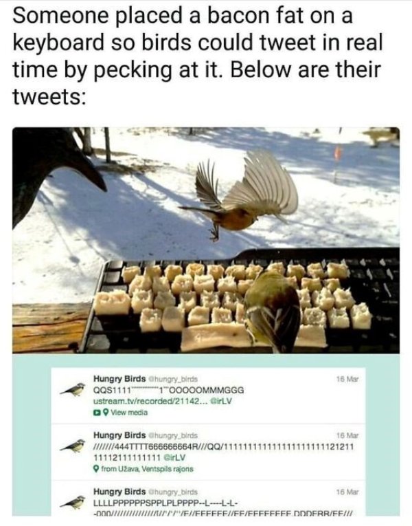 Kind Jokes (25 pics)