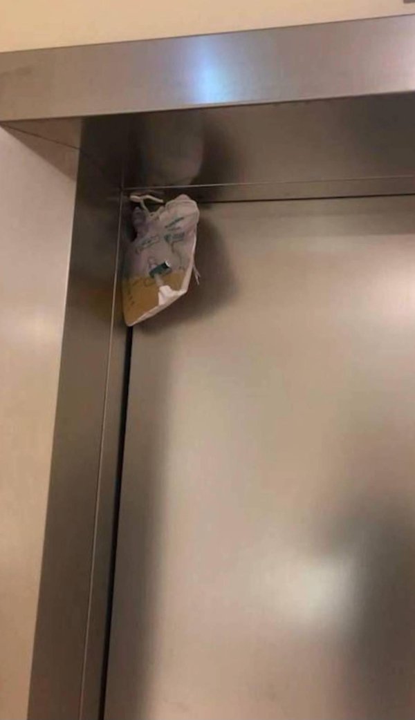 What Is Going On Here? (24 pics)