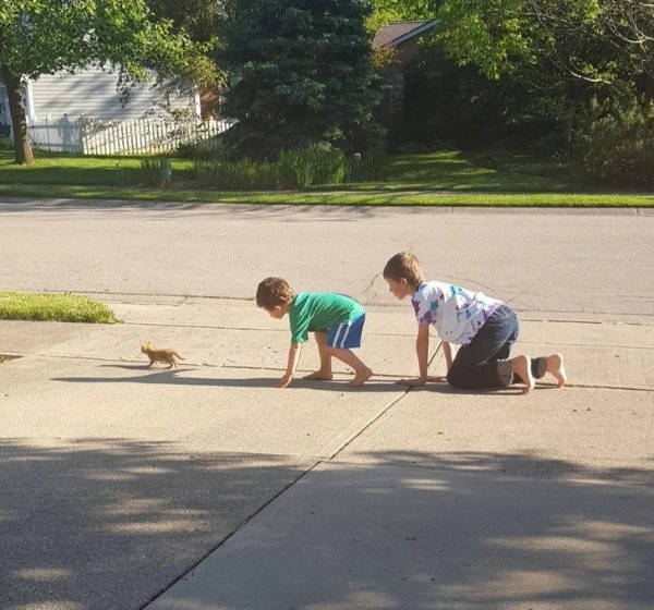 Jokes And Photos For Cat Lovers (32 pics)