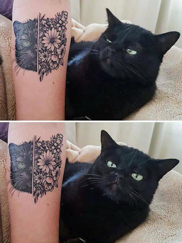 Jokes And Photos For Cat Lovers (32 pics)