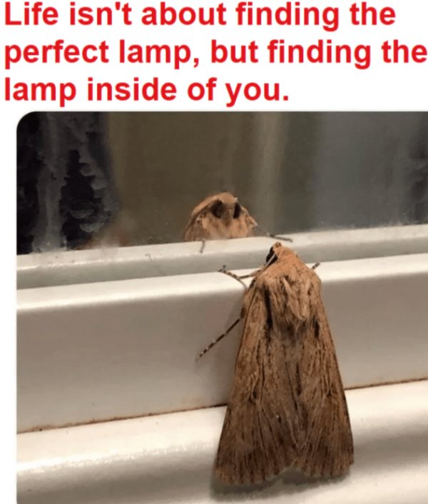 Kind Jokes (25 pics)