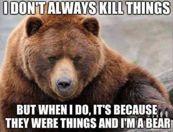 Random Memes (33 pics)