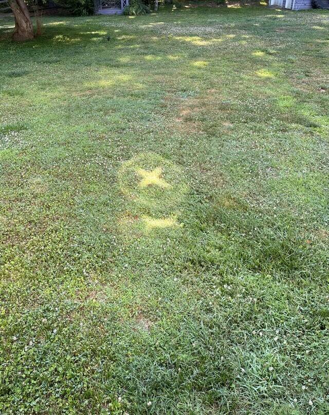 Interesting Finds (20 pics)