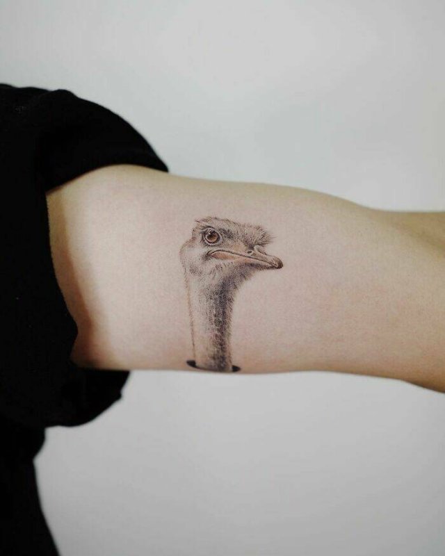 Realistic Tattoos (21 pics)