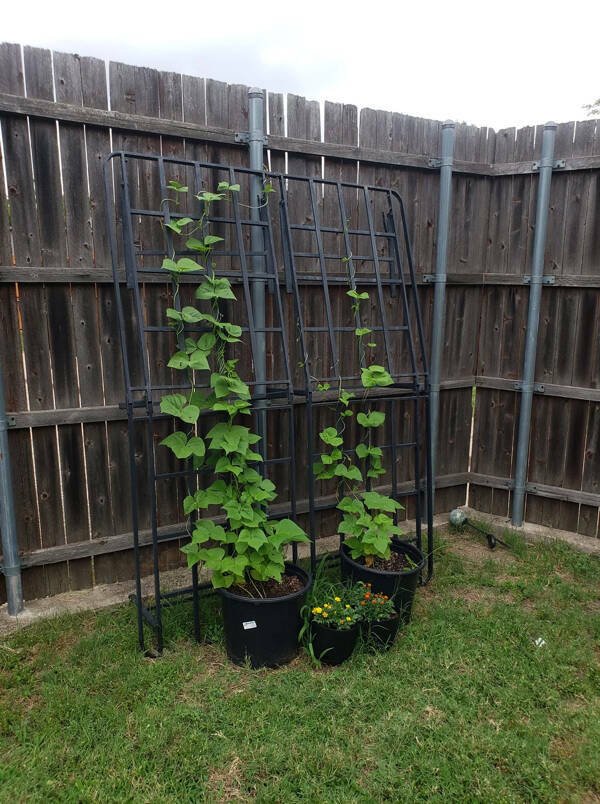 Cool Recycling of Unnecessary Things (29 pics)