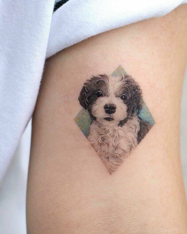 Realistic Tattoos (21 pics)