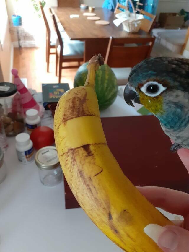 Interesting Finds (20 pics)