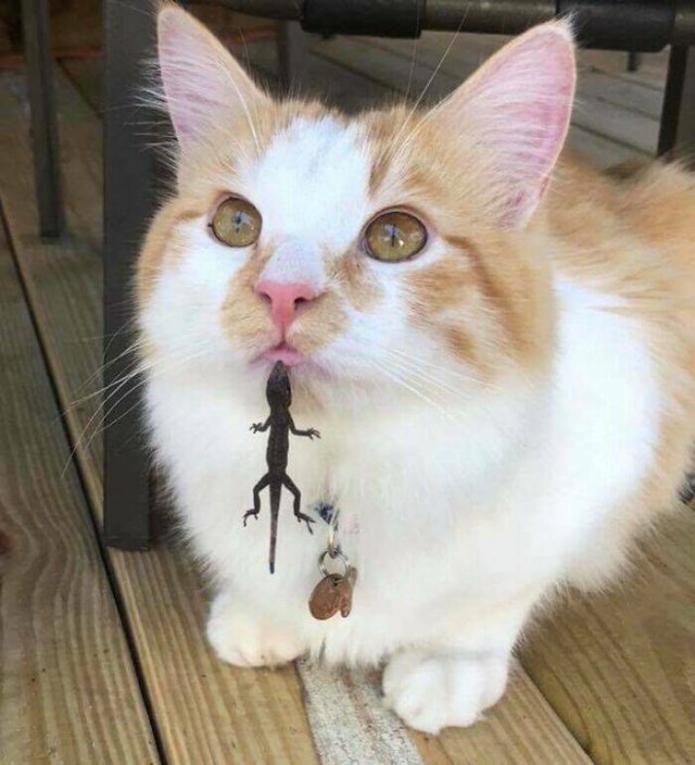 Hilarious Finds (24 pics)