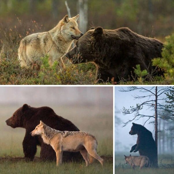 Interesting Photos From Around The World (21 pics)
