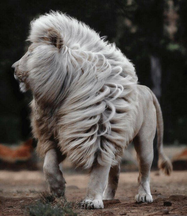 Interesting Photos From Around The World (21 pics)