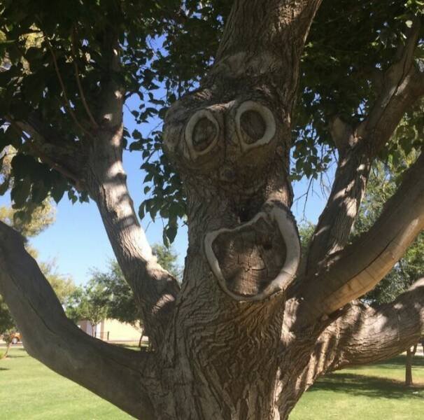 Hilarious Finds (24 pics)