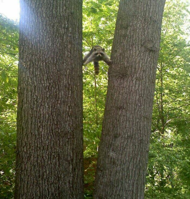 Hilarious Finds (24 pics)