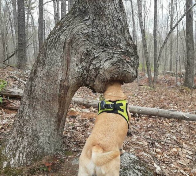 Hilarious Finds (24 pics)