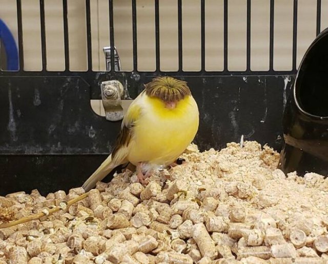 Hilarious Finds (24 pics)