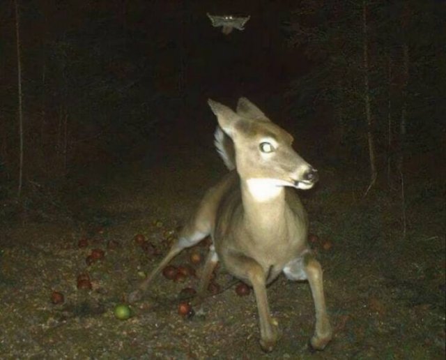 Hilarious Finds (24 pics)