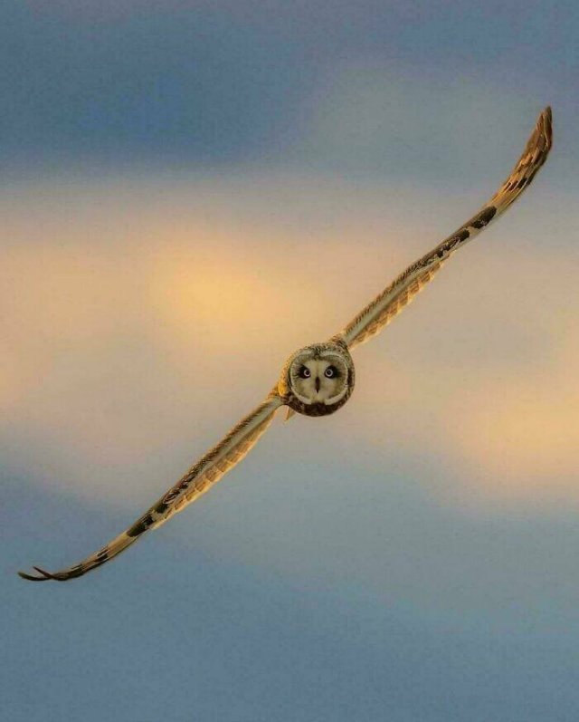 Interesting Photos From Around The World (21 pics)