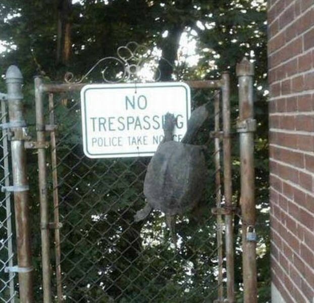 Hilarious Finds (24 pics)