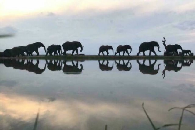 Interesting Photos From Around The World (21 pics)