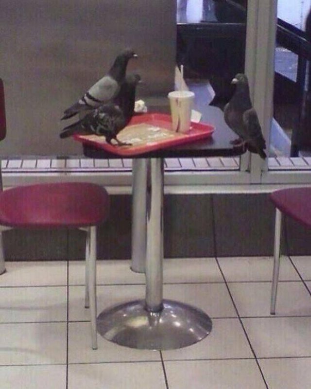 What Is Going On Here? (25 pics)