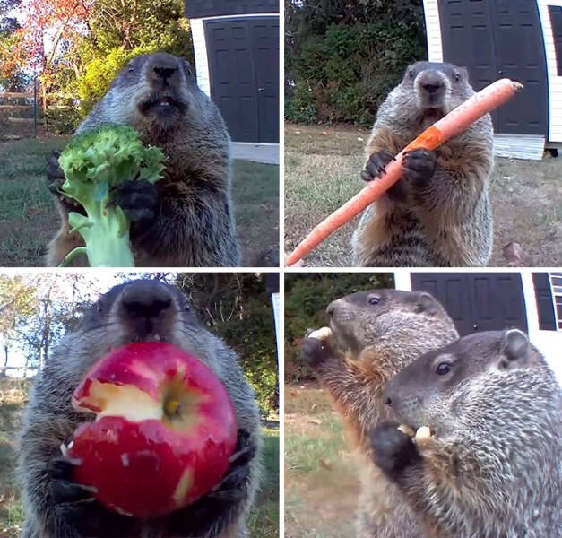 Hilarious Finds (24 pics)