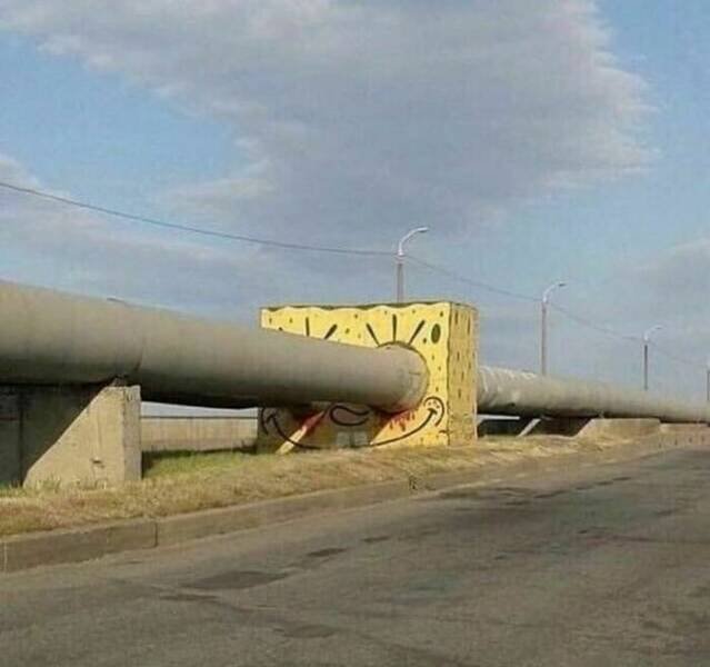 What Is Going On Here? (25 pics)