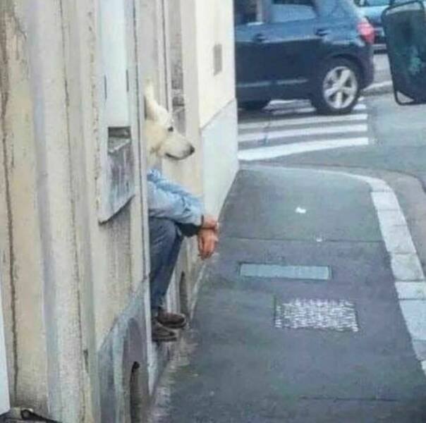 What Is Going On Here? (25 pics)