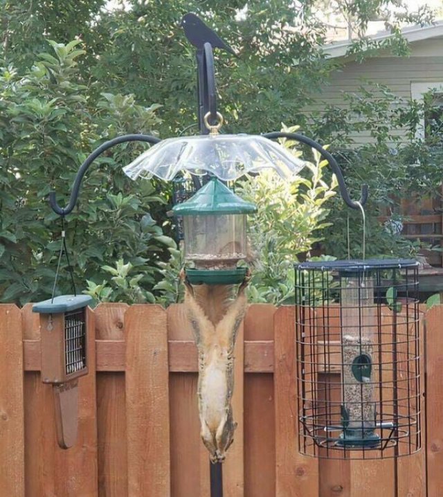 Hilarious Finds (24 pics)
