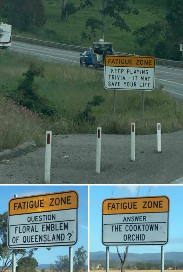 Unusual Finds In Different Countries (25 pics)