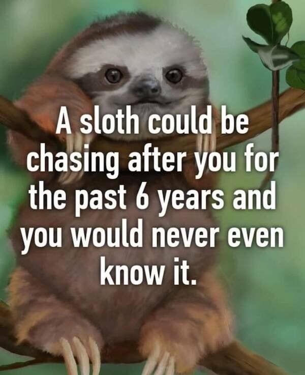 Memes For Animal Lovers (25 pics)