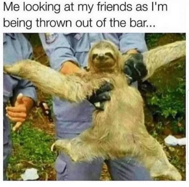 Memes For Animal Lovers (25 pics)