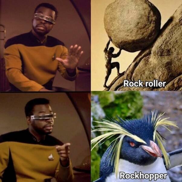 Memes For Animal Lovers (25 pics)