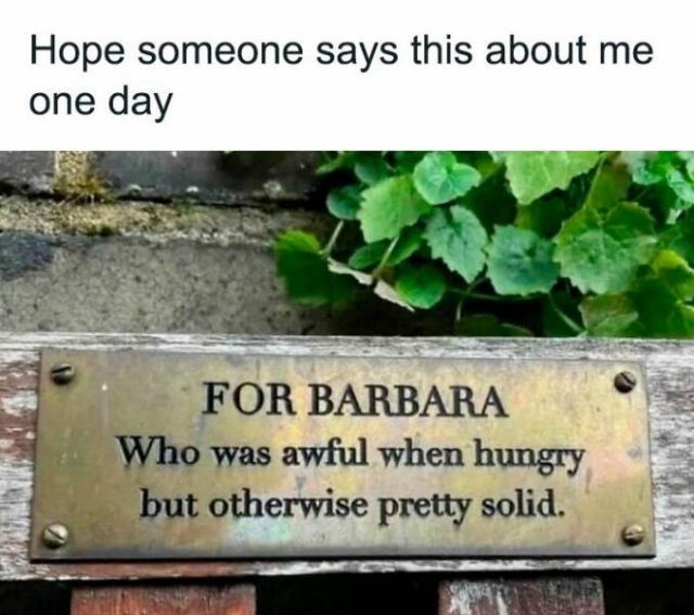 Funny Posts (25 pics)