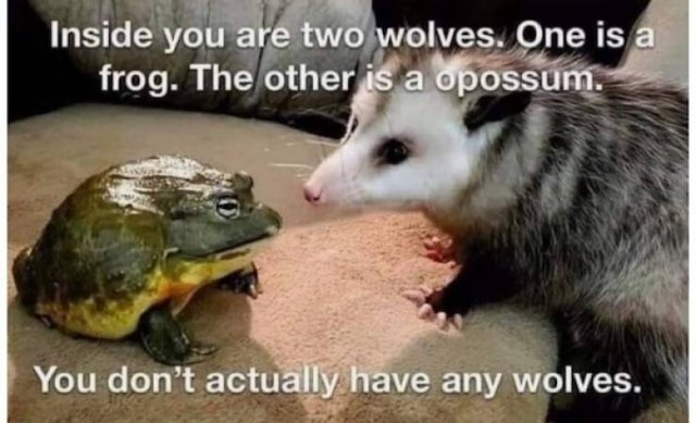 Memes For Animal Lovers (25 pics)