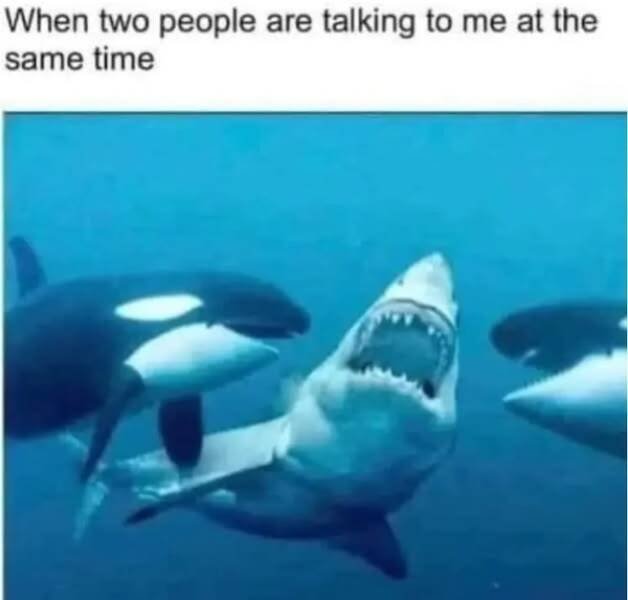 Memes For Animal Lovers (25 pics)