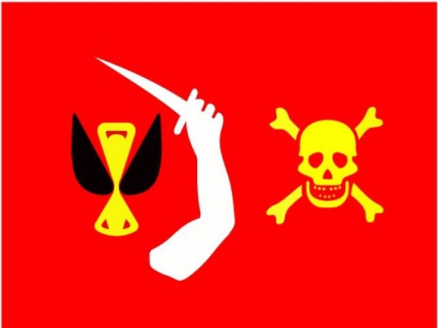 Interesting Facts About Pirates (14 pics)