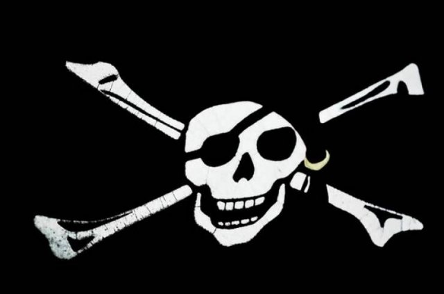 Interesting Facts About Pirates (14 pics)