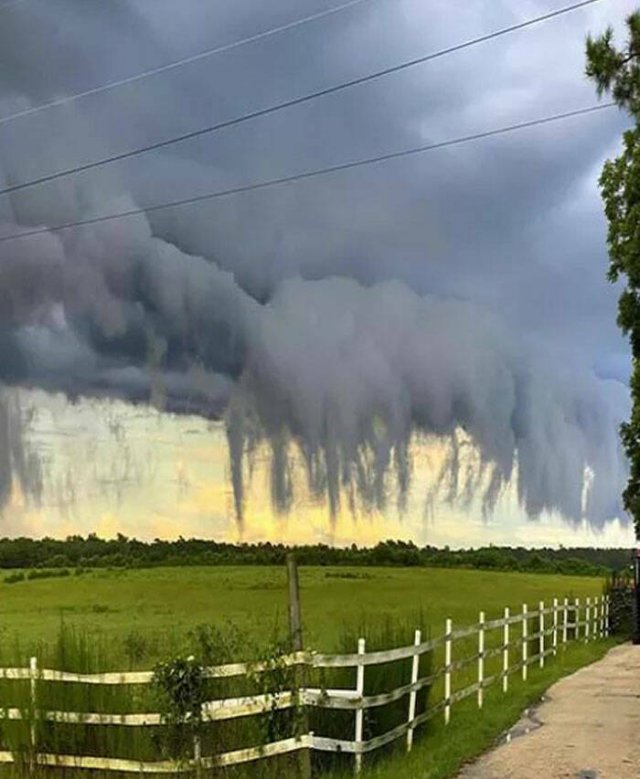 Nature Can Be Scary (25 pics)