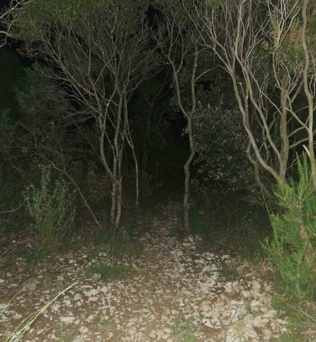Nature Can Be Scary (25 pics)