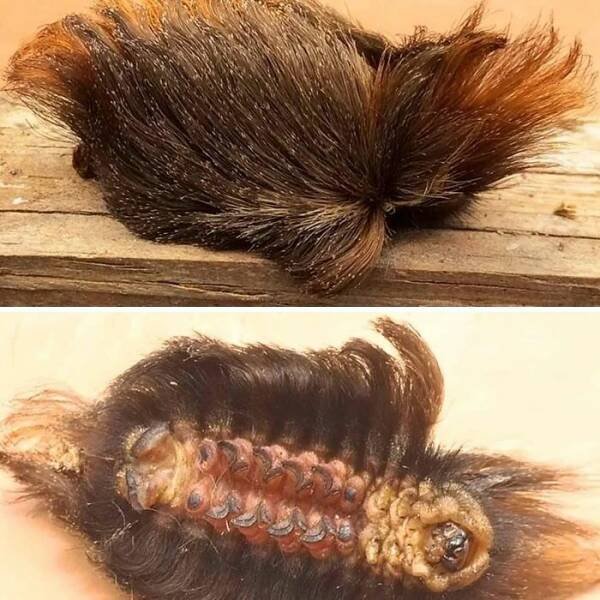 Nature Can Be Scary (25 pics)