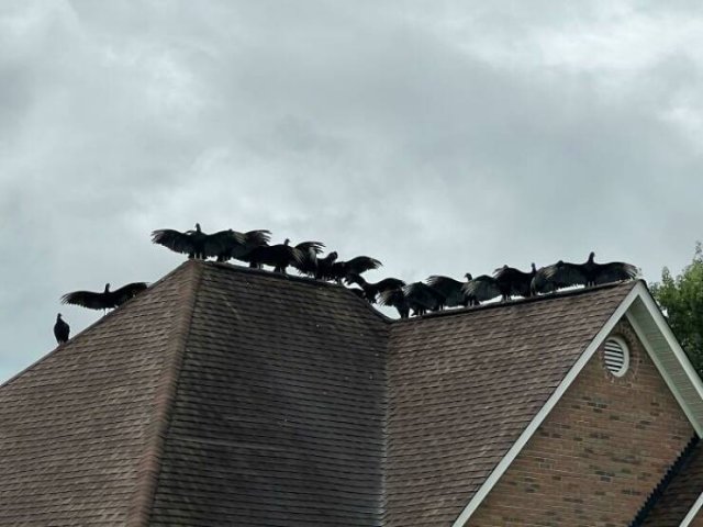 Nature Can Be Scary (25 pics)
