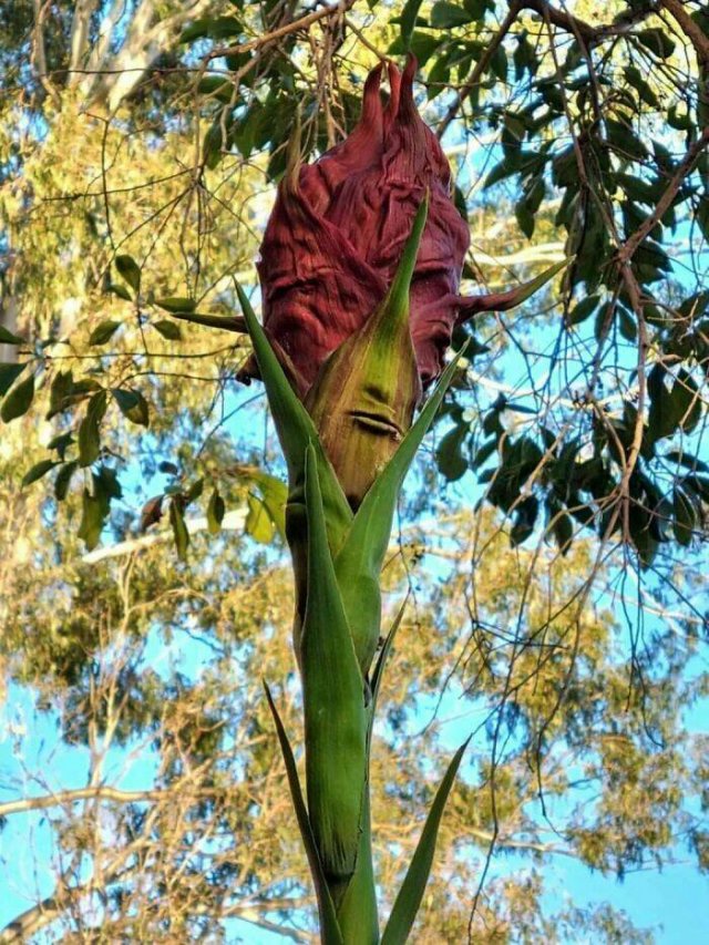 Nature Can Be Scary (25 pics)