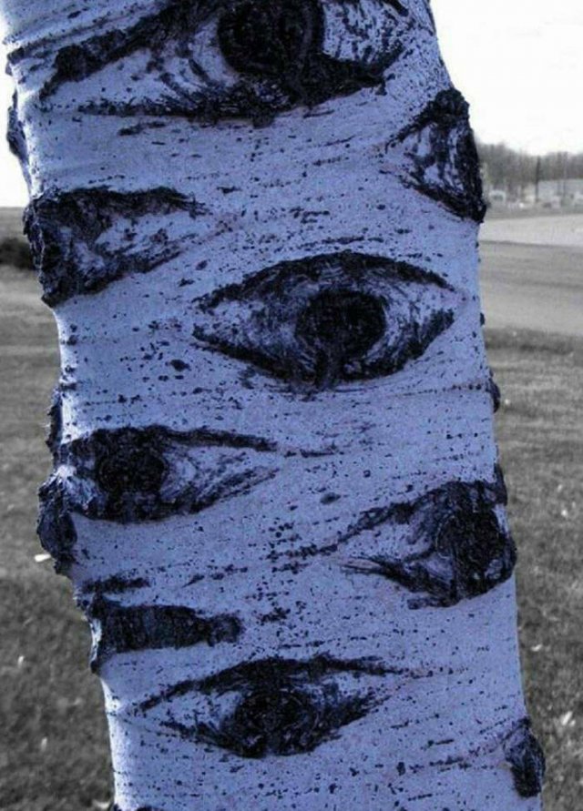 Nature Can Be Scary (25 pics)