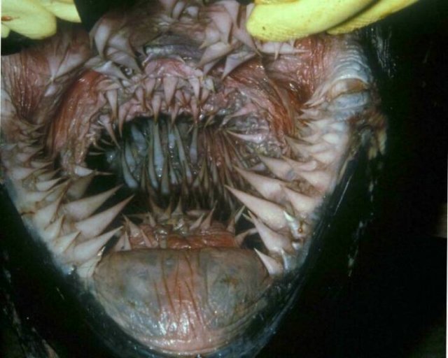 Nature Can Be Scary (25 pics)