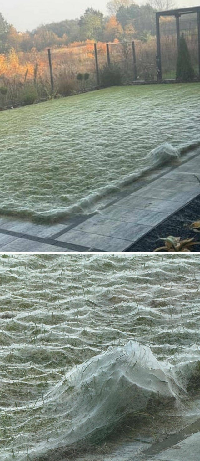 Nature Can Be Scary (25 pics)