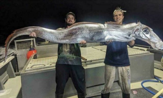Nature Can Be Scary (25 pics)