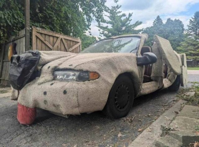 Crazy Tuning (19 pics)