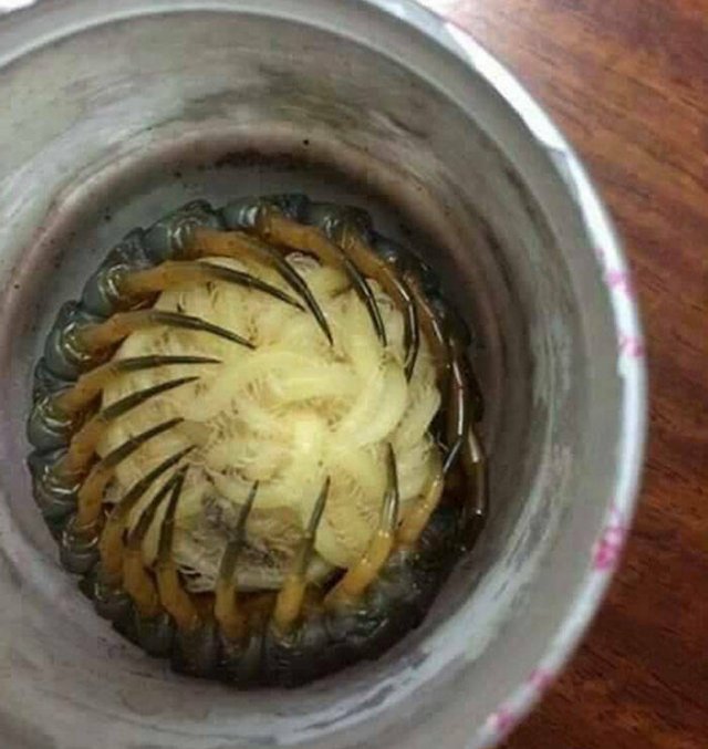 Nature Can Be Scary (25 pics)